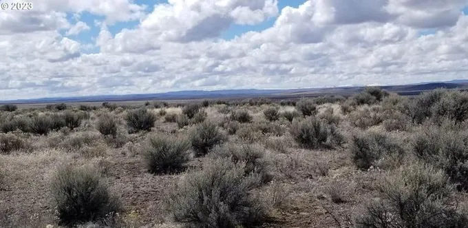 Christmas Valley, Lake County, OR Undeveloped Land for sale Property ID: 415858715