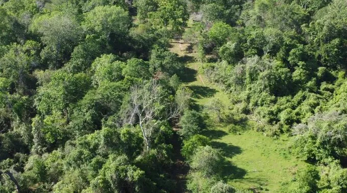 0 Waters Rd Rd, Hempstead, TX 77445 - MLS 22671891 for Sale