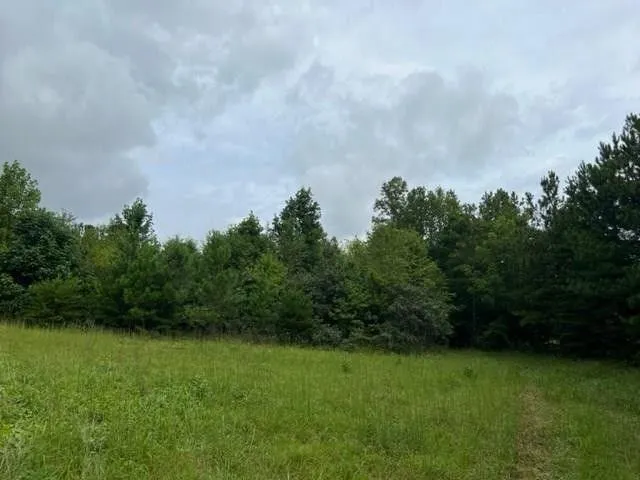 Appomattox, Appomattox County, VA Undeveloped Land for sale Property ID: 417521939