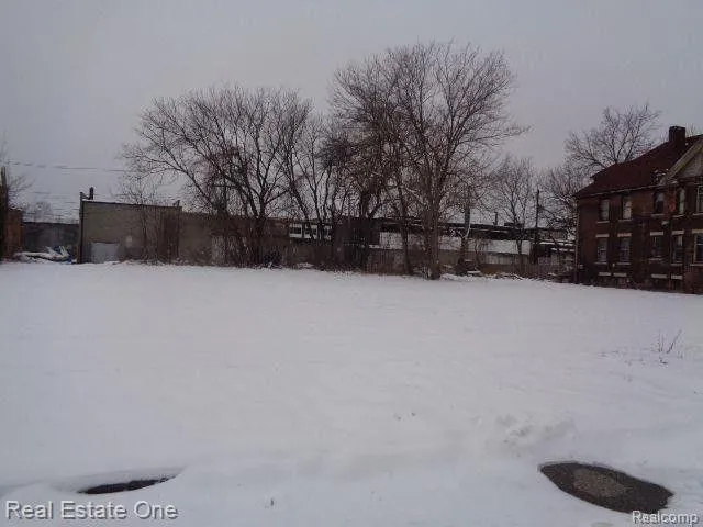 Detroit, Wayne County, MI Undeveloped Land, Homesites for sale Property ID: 415737240