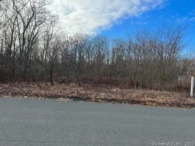 39 Princeton Dr #LOT 79, Avon, CT 06001 - MLS 170561016 for Sale
