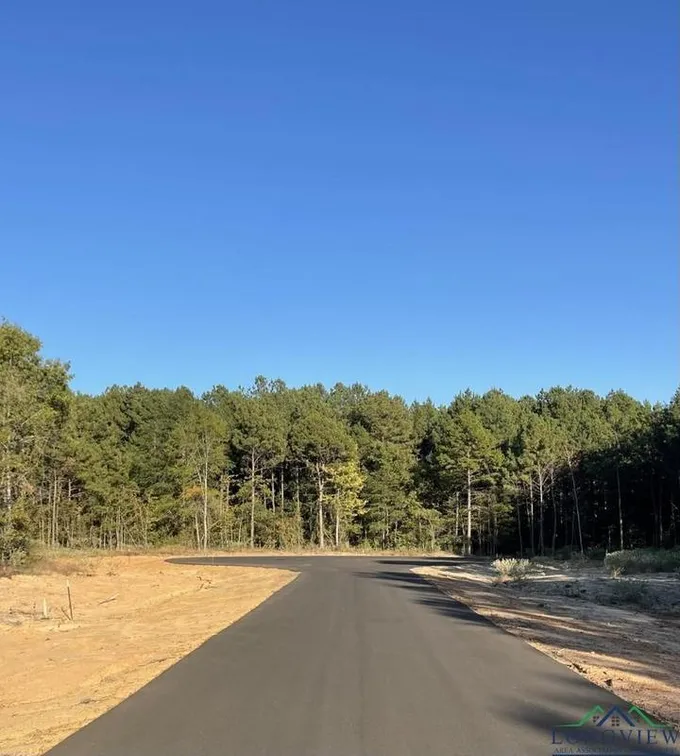 Tbd Lot 25 STONEBROOK CT, New Diana, TX 75640 for Sale