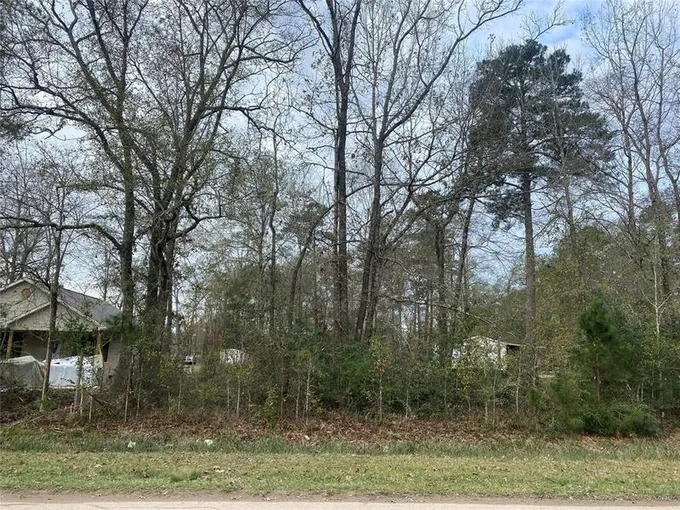 335 County Road 3662, Splendora, TX 77372 for Sale