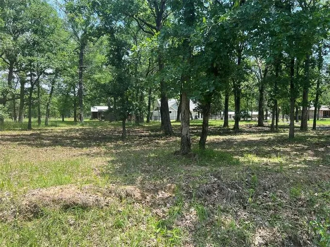 Star Harbor, Henderson County, TX Undeveloped Land, Homesites for sale Property ID: 416388045