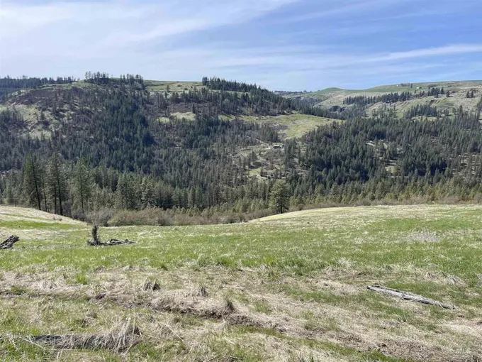 Harpster, Idaho County, ID Farms and Ranches, Homesites for sale Property ID: 416466320
