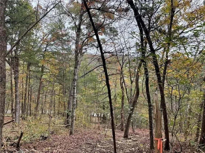 Holiday Island, Carroll County, AR Undeveloped Land, Homesites for sale Property ID: 415413732