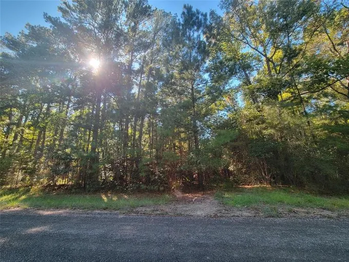 1113 County Road 2145, Cleveland, TX 77327 for Sale