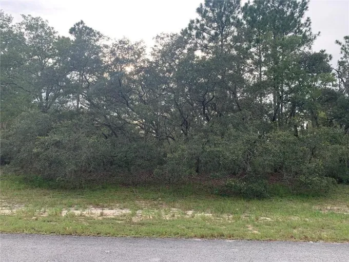 Ocala, Marion County, FL Undeveloped Land, Homesites for sale Property ID: 417206087
