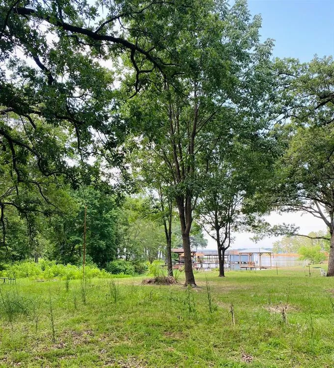 TBD Brierwood, Frankston, TX 75763 for Sale