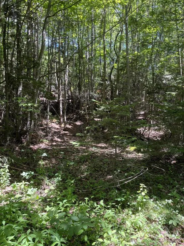48 Ermine Rd, Sandy River Plt, ME 04970 - MLS 1564717 for Sale