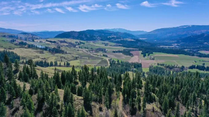 240 ACRES MCNITT RD, Kettle Falls, WA 99141 Land For Sale  MLS# 202410340