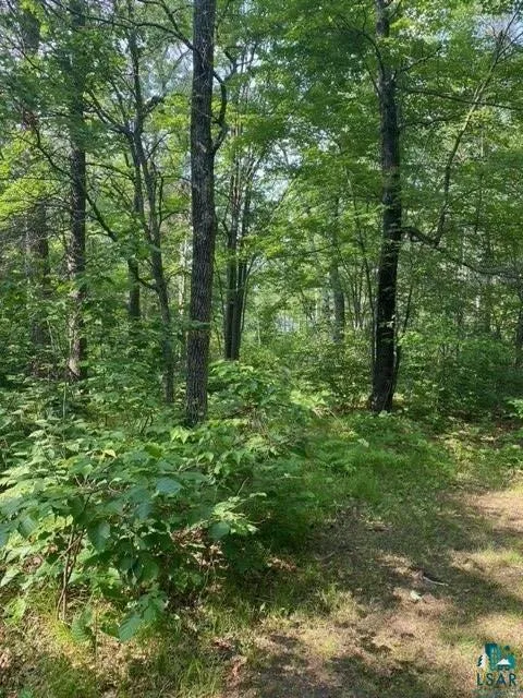 91XX E HILLTOP DR, Solon Springs, WI 54873 Land For Sale  MLS# 6109039