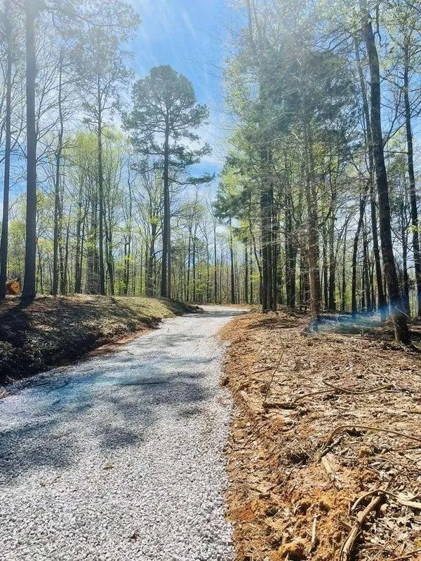 CR 284, Thaxton, MS 38871  604886289 for Sale