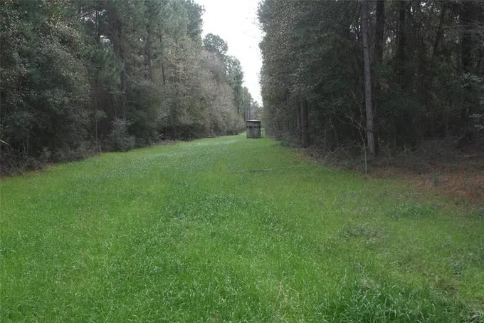 TBD CR 355, Todd Mission, TX 77363 for Sale