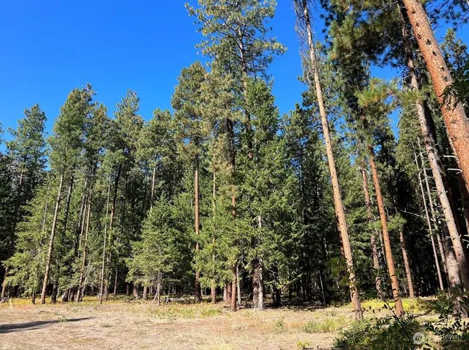 41 Tbd Davelaar Dr, Mazama, WA 98833 - MLS 2165427 for Sale