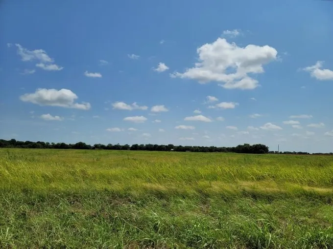 Lot 2 County Rd 1245, Savoy, TX 75479 for Sale