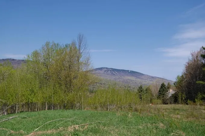 Ludlow, Windsor County, VT Undeveloped Land for sale Property ID: 418734685