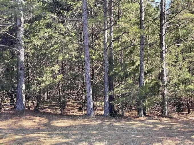 Fairfield Bay, Van Buren County, AR Undeveloped Land, Homesites for sale Property ID: 417031302
