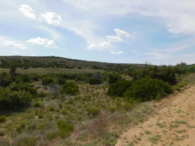 0 Ruger Ranch, Other, AZ 85322 for Sale