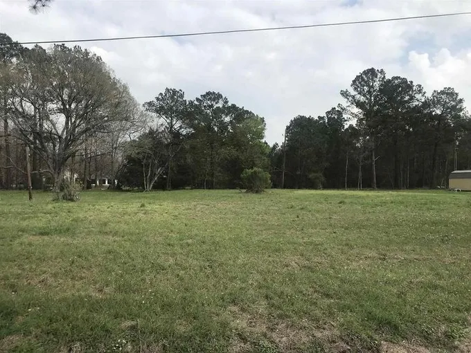 1105 Dayna Ln, Sour Lake, TX 77659 for Sale