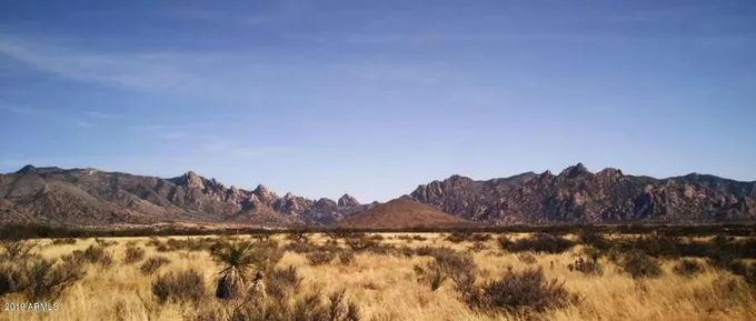 70 N HORNED OWL LANE, Saint David, AZ 85630 Single Family Residence For Sale  MLS# 5902671 for Rent