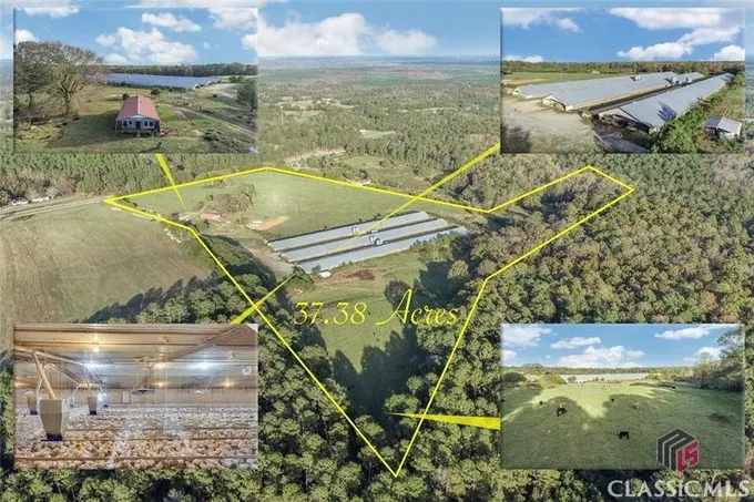 Carlton, Madison County, GA Farms and Ranches for sale Property ID: 416967088