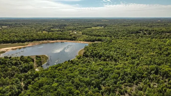 Athens, Henderson County, TX Undeveloped Land, Lakefront Property, Waterfront Property for sale Property ID: 416243273