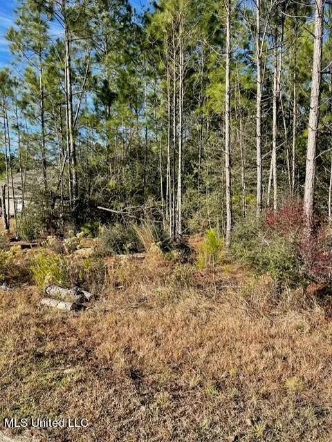 OAK TERRACE DRIVE, Gulfport, MS 39503 Land For Sale  MLS# 4067956