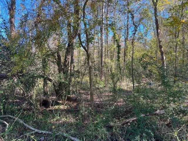 0000 Lazy Creek Dr, New Caney, TX 77357 for Sale