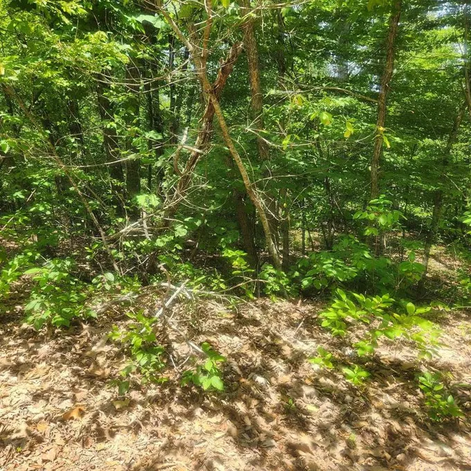Cherokee Village, Sharp County, AR Undeveloped Land, Homesites for sale Property ID: 416915920