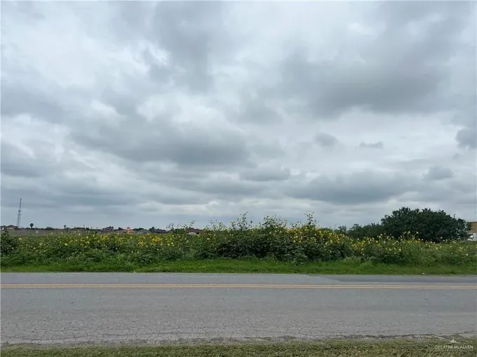 Tbd Anaya Road, Pharr, TX 78577 for Sale
