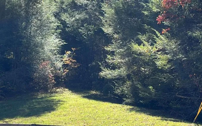 Ellijay, Gilmer County, GA Undeveloped Land for sale Property ID: 415285810