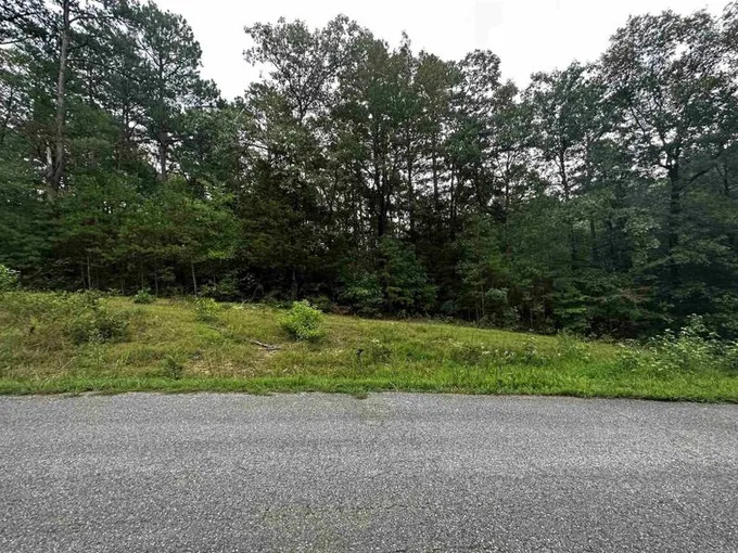 Shirley, Van Buren County, AR Undeveloped Land, Lakefront Property, Waterfront Property, Homesites for sale Property ID: