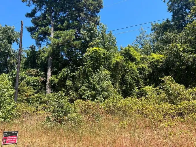 Flint, Smith County, TX Homesites for sale Property ID: 417252738