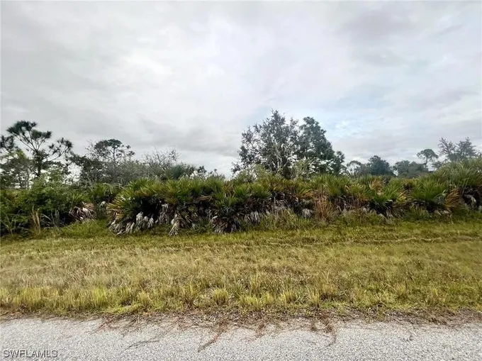 Port Charlotte, Charlotte County, FL Undeveloped Land, Homesites for sale Property ID: 418269032