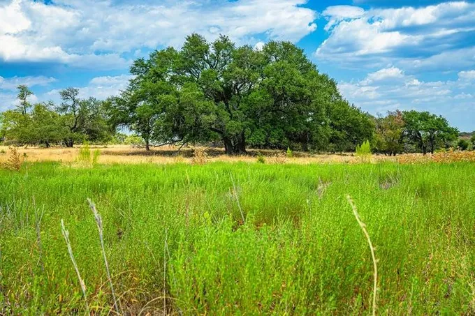 Lot 7 - N Grape Creek Rd, Stonewall, TX 78671 for Sale