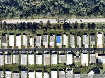 Fiddleleaf Dr for Sale