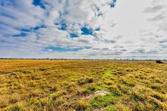 1172 Beal Rd, Eagle Lake, TX 77434 for Sale