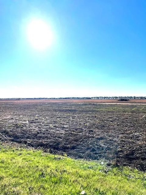 0 County Road 1245, SAVOY, TX 75479 for Sale