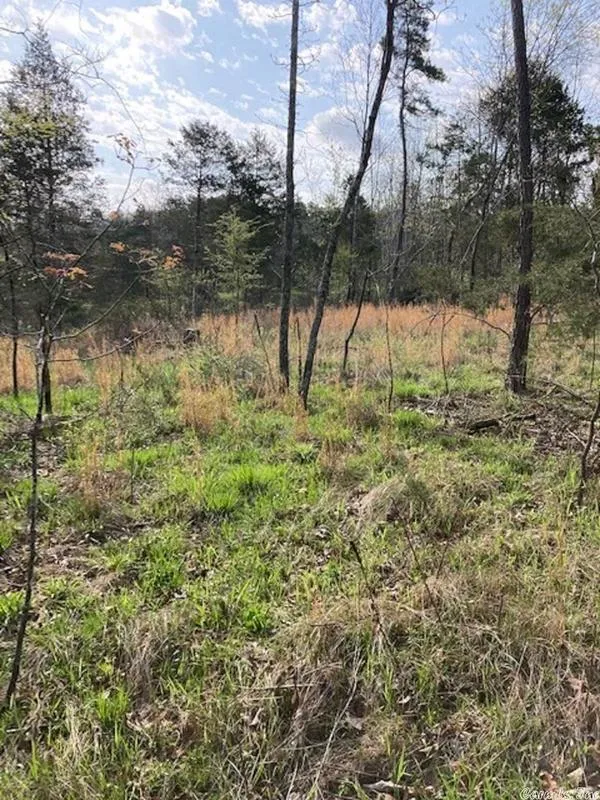 Calico Rock, Izard County, AR Undeveloped Land, Homesites for sale Property ID: 416911975