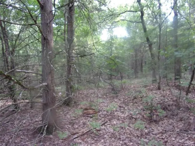 Murchison, Van Zandt County, TX Undeveloped Land, Homesites for sale Property ID: 416994916