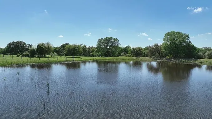 00 County Road 119, Ledbetter, TX 78946 for Sale