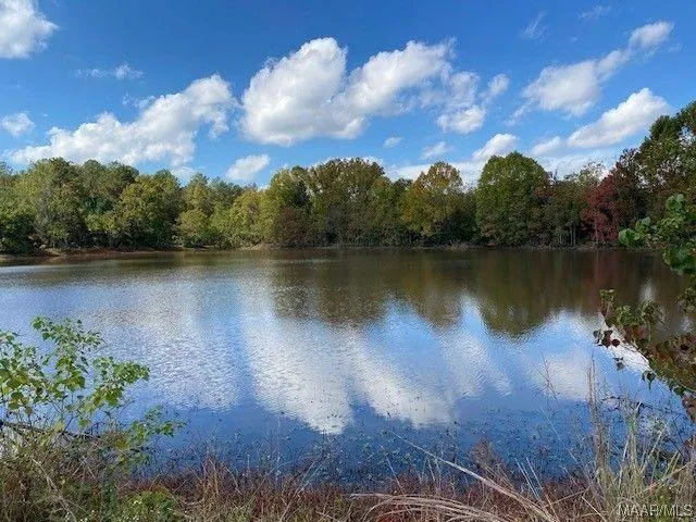Montgomery, Montgomery County, AL Undeveloped Land, Lakefront Property, Waterfront Property for sale Property ID: 418057297