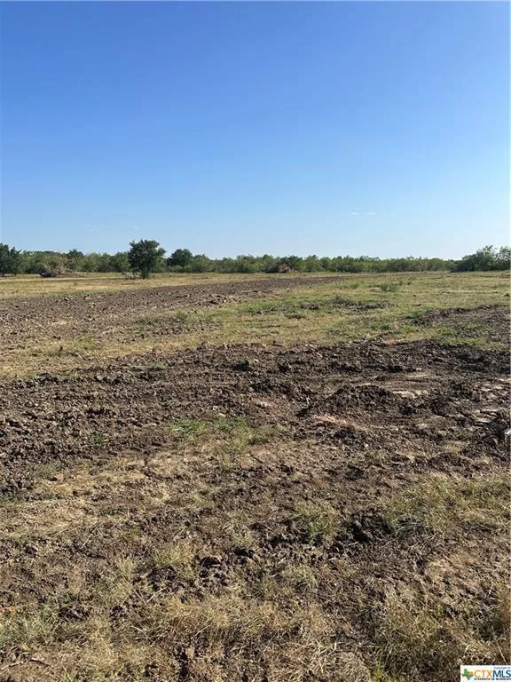 5894 FM 1107 Unit A (tract 2) A, Stockdale, TX 78160 for Sale