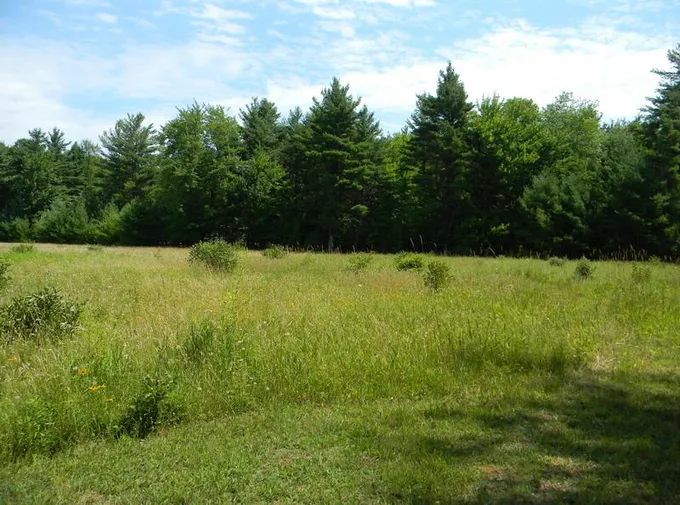 V/L W Hammett Rd, Pentwater, MI 49449 - MLS 23021530 for Sale