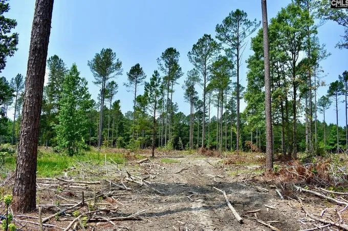 Tbd Lot 4 Pickett Thomas Rd #4, Camden, SC 29020 - MLS 577536 for Sale