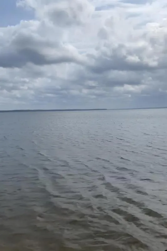 TBD Sanders, Zavalla, TX 75980 for Sale