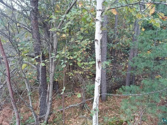 0000 Hwy 63, Cable, WI 54821 - MLS 6111000 for Sale