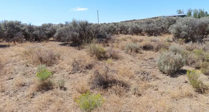 Tl-600 Tl600 Cemetery-27S17E28Ba00600 Rd, Christmas Valley, OR 97641 - MLS 220152053 for Sale