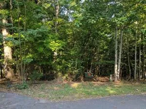 LOT 25 POINTE O WOODS DR, Huddleston, VA 24104 Land For Sale  MLS# 901530